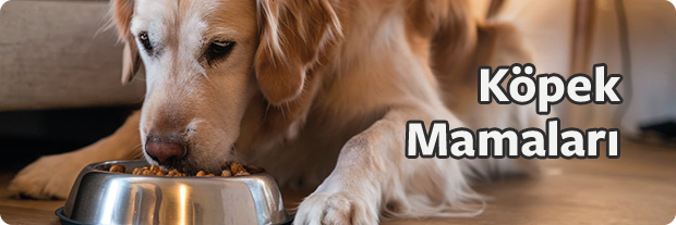 Köpek Mama