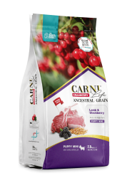 Carni Life Cranberry Ancestral Grain Puppy Mini Kuzu Etli & Böğürtlenli Yavru Köpek Maması - Carni
