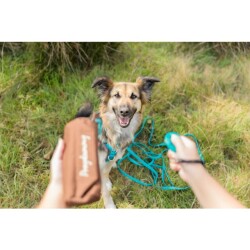 Trixie Easy Life Köpek Tracking Gezdirme Kayışı - Trixie