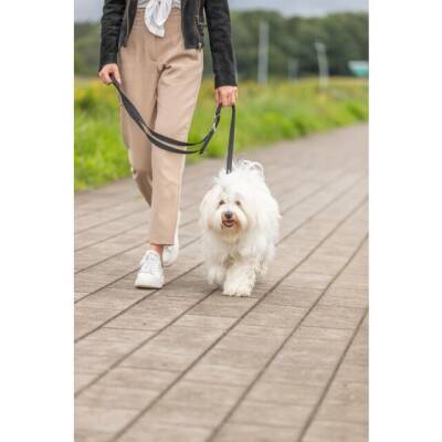 Trixie Premium Köpek Çift Katmanlı Ayarlanabilir Kayış - 10