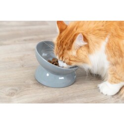 Trixie XXL Yükseltilmiş Seramik Kedi Mama Kabı - 3